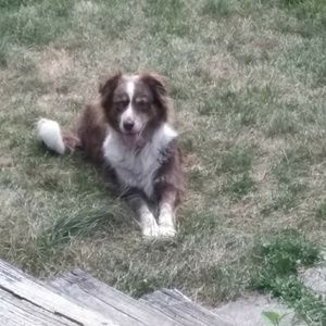 Meet your Posher, Leticia